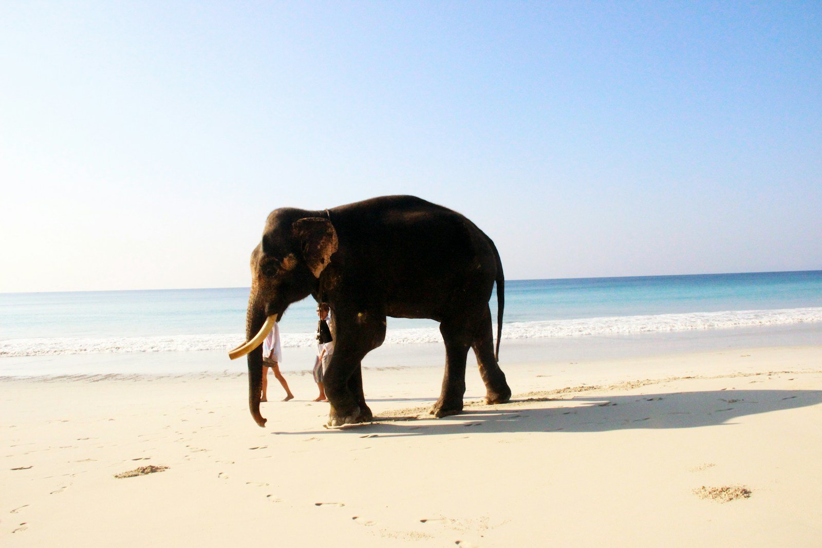6 NIght Andaman Family tour package