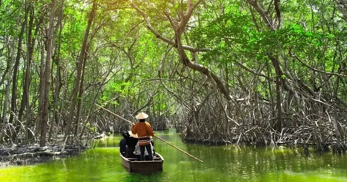 Mangrove Boat Ride Andaman